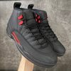 Air Jordan 12