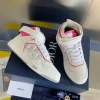 Dior B27
